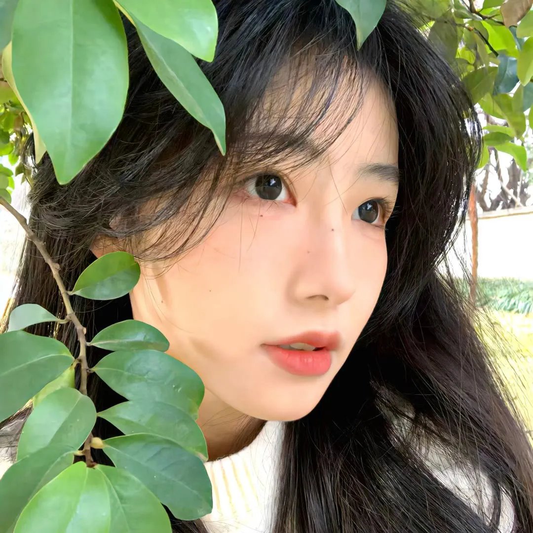 叛逆无罪